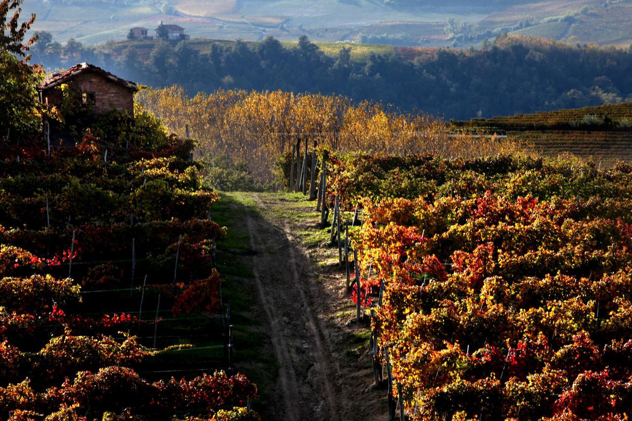Castiglione Tinella Albergo Castiglione Langhe מראה חיצוני תמונה