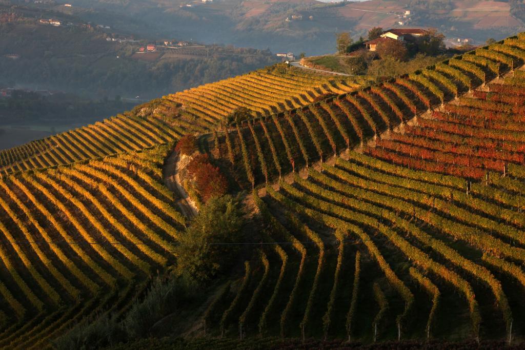 Castiglione Tinella Albergo Castiglione Langhe מראה חיצוני תמונה